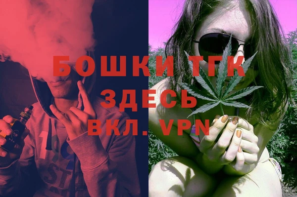 дмт Алексин
