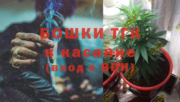 дмт Алексин